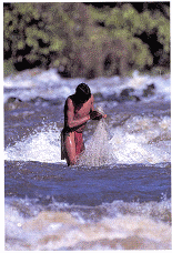 Image Photo